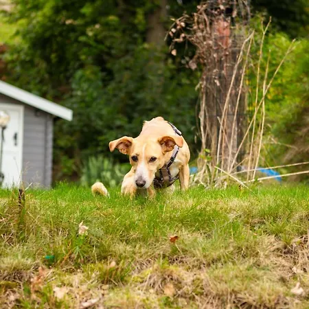 Blockhaus Am Hengstberg Bei Dresden * Bannewitz